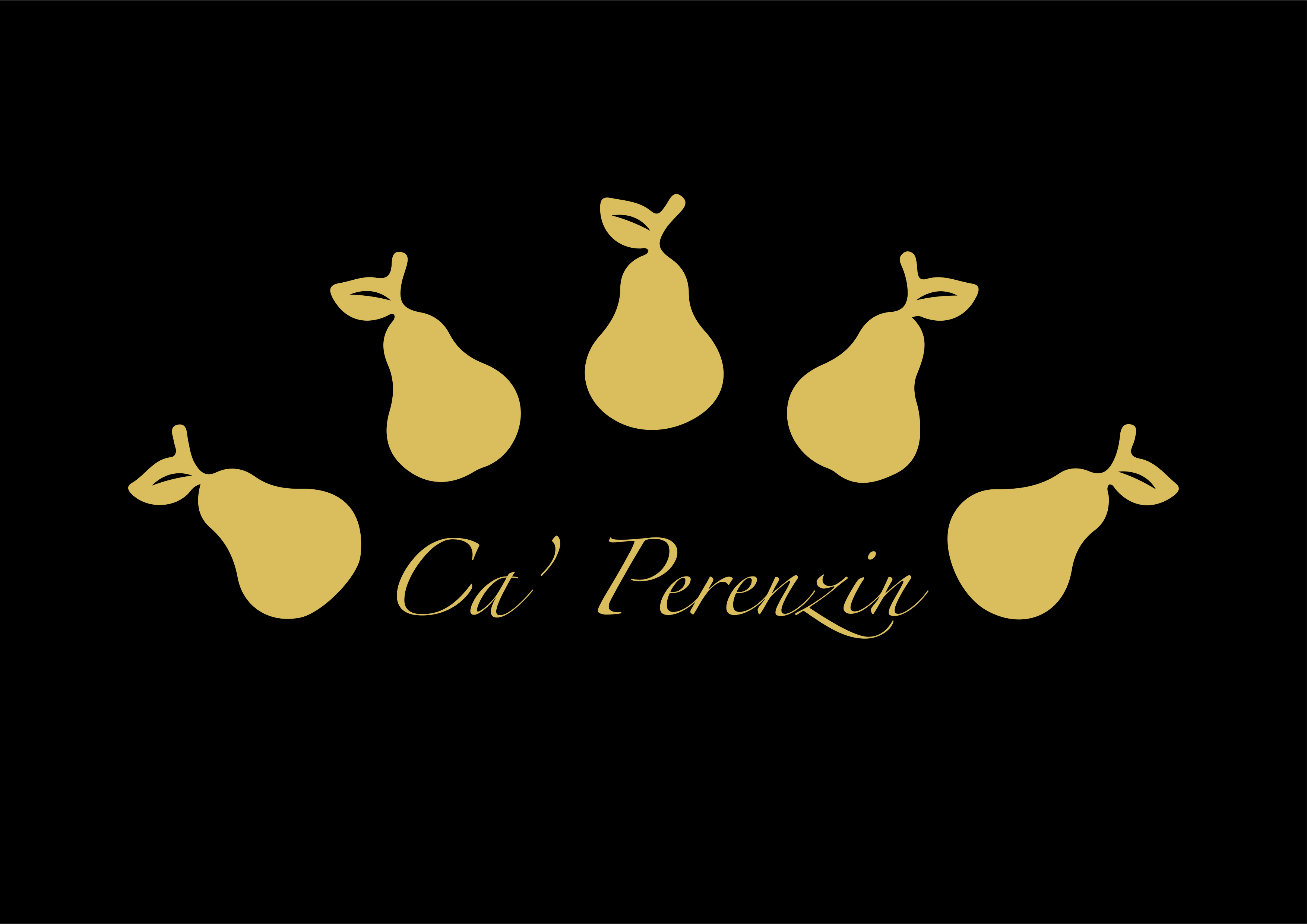 Web Design Ottica Toffoli